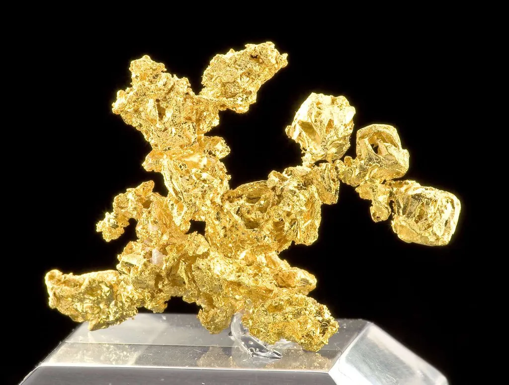 Gold - image 2