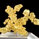 Gold - image 2