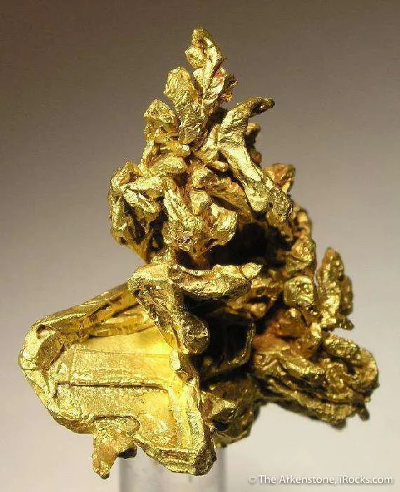Gold image