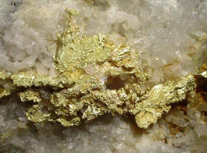 Gold - image 3