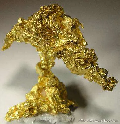 Gold - image 5