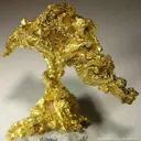 Gold - image 5