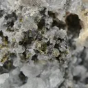 Gold - image 6