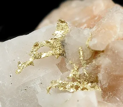 Gold - image 2