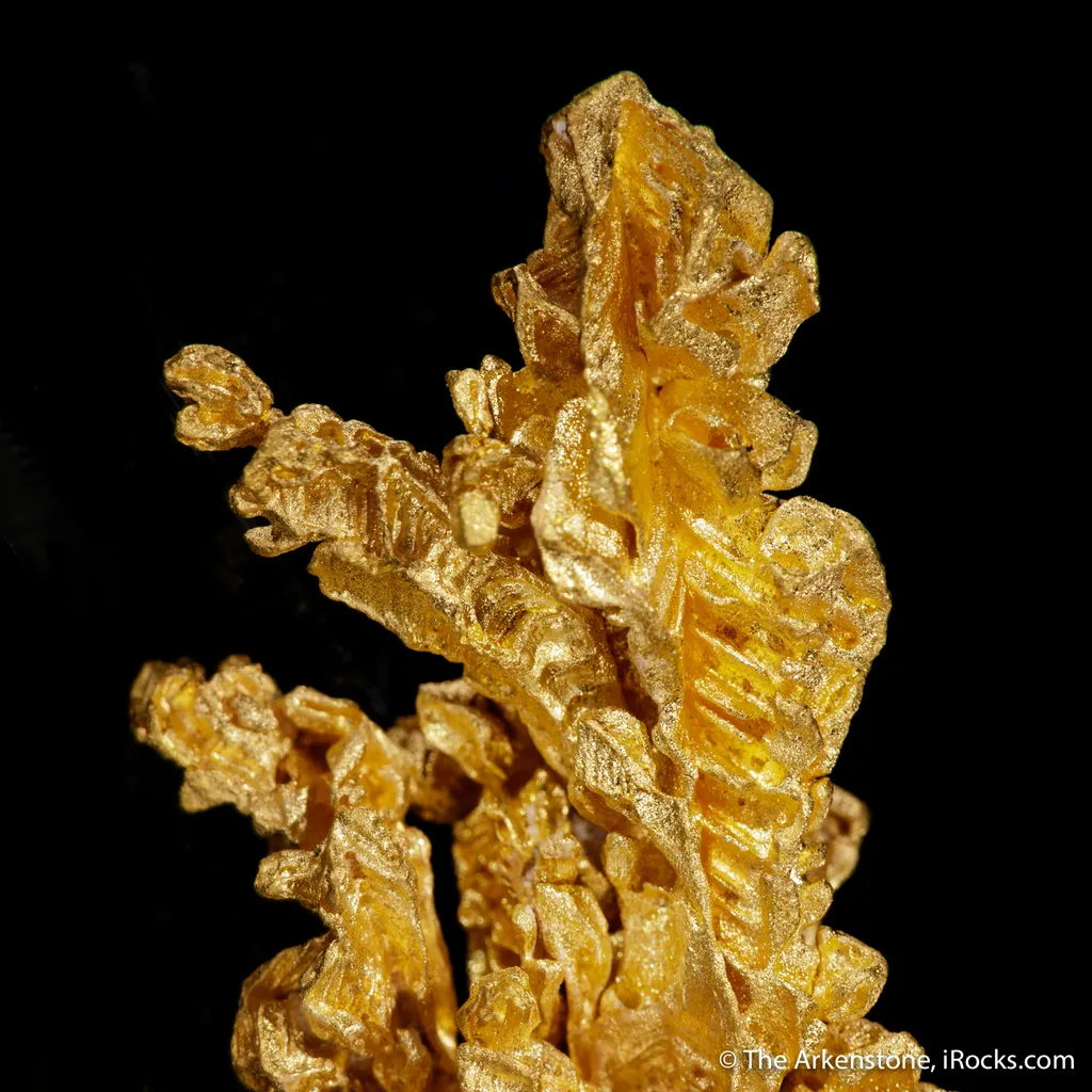 Gold - image 3
