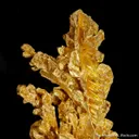 Gold - image 3