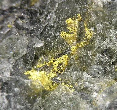 Gold - image 2