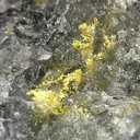 Gold - image 2
