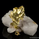 Gold - image 1