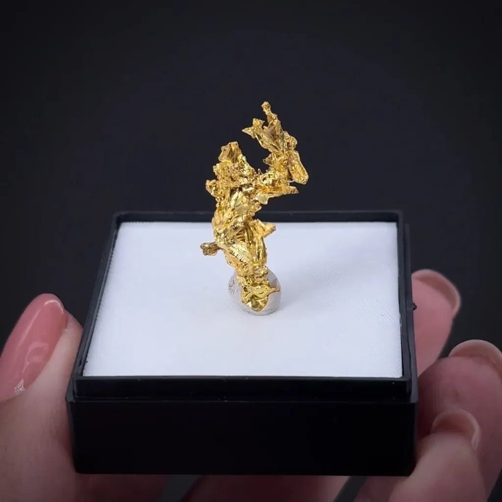Gold - image 2