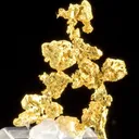 Gold - image 3
