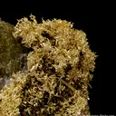 Gold - image 1