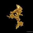 Gold - image 4