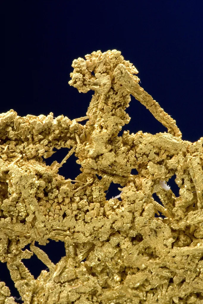 Gold - image 3