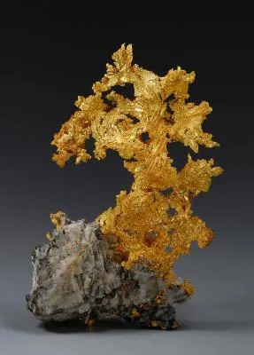 Gold - image 2