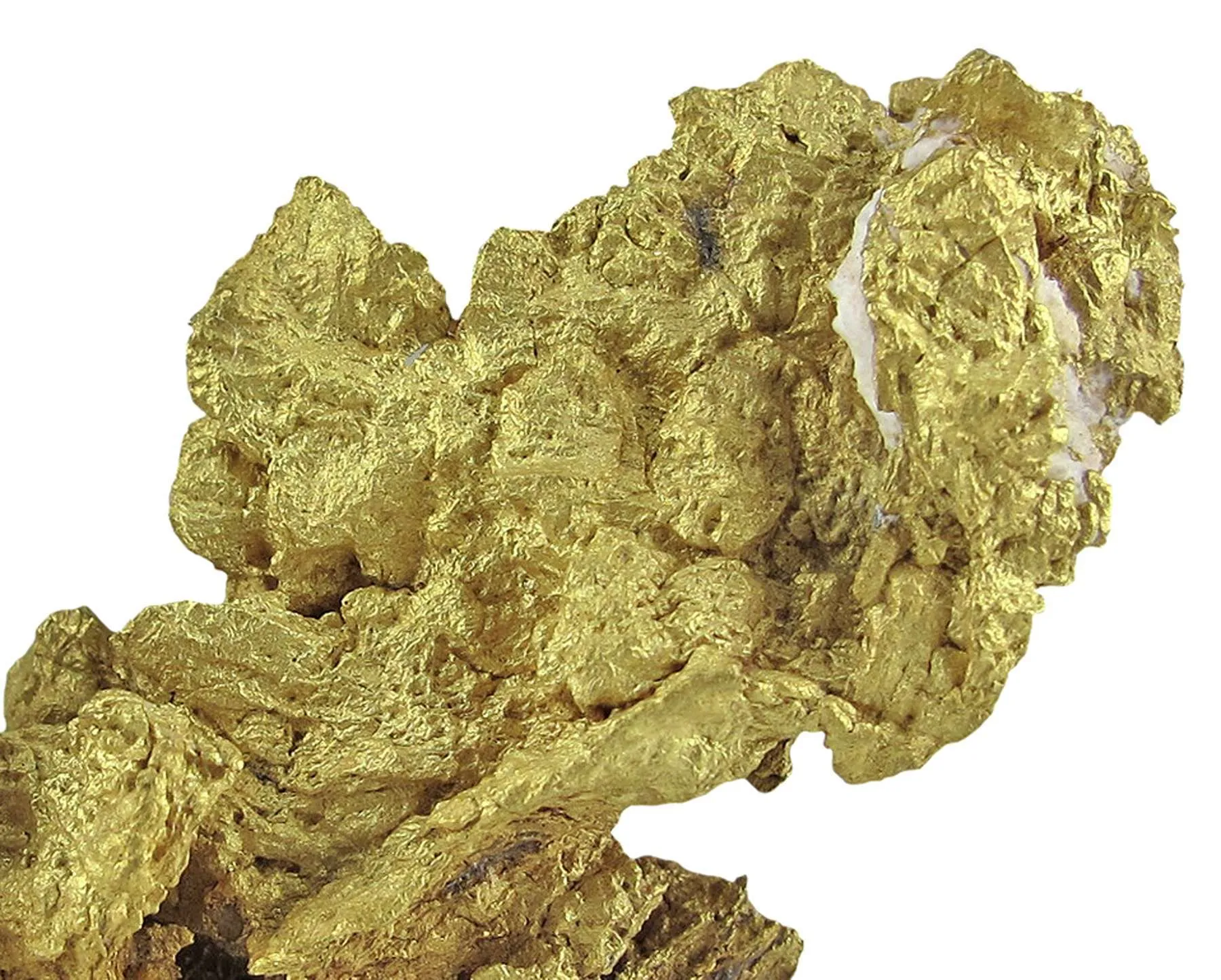Gold - image 2
