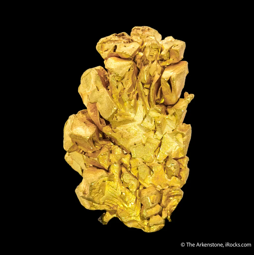 Gold - image 4