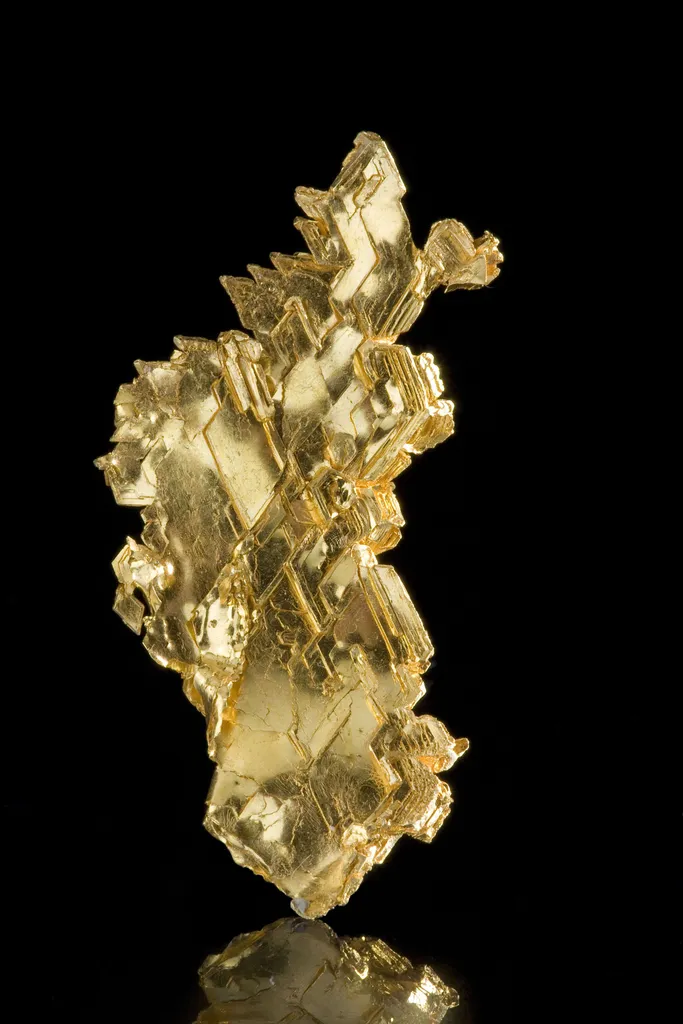 Gold - image 3