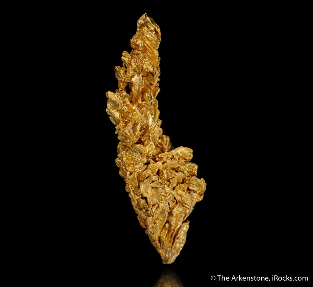 Gold - image 4