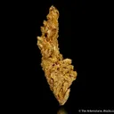Gold - image 4