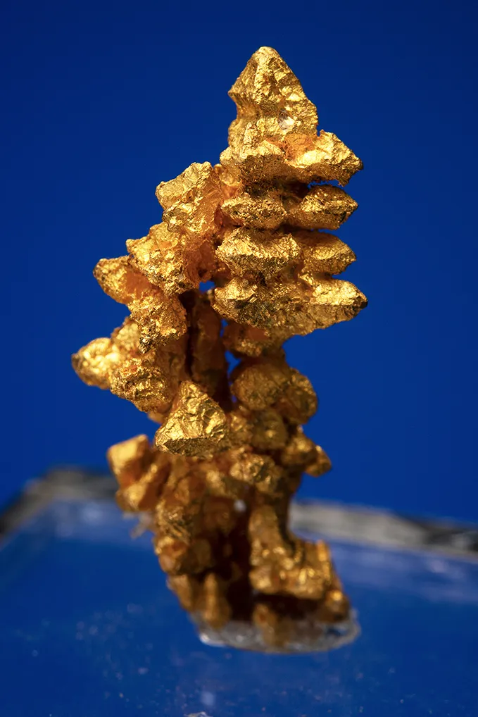 Gold - image 3