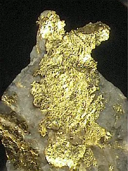 Gold image
