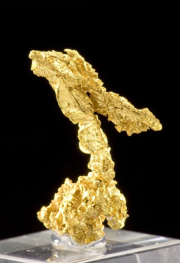 Gold - image 2