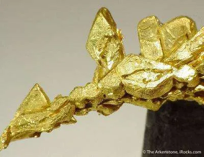 Gold - image 2
