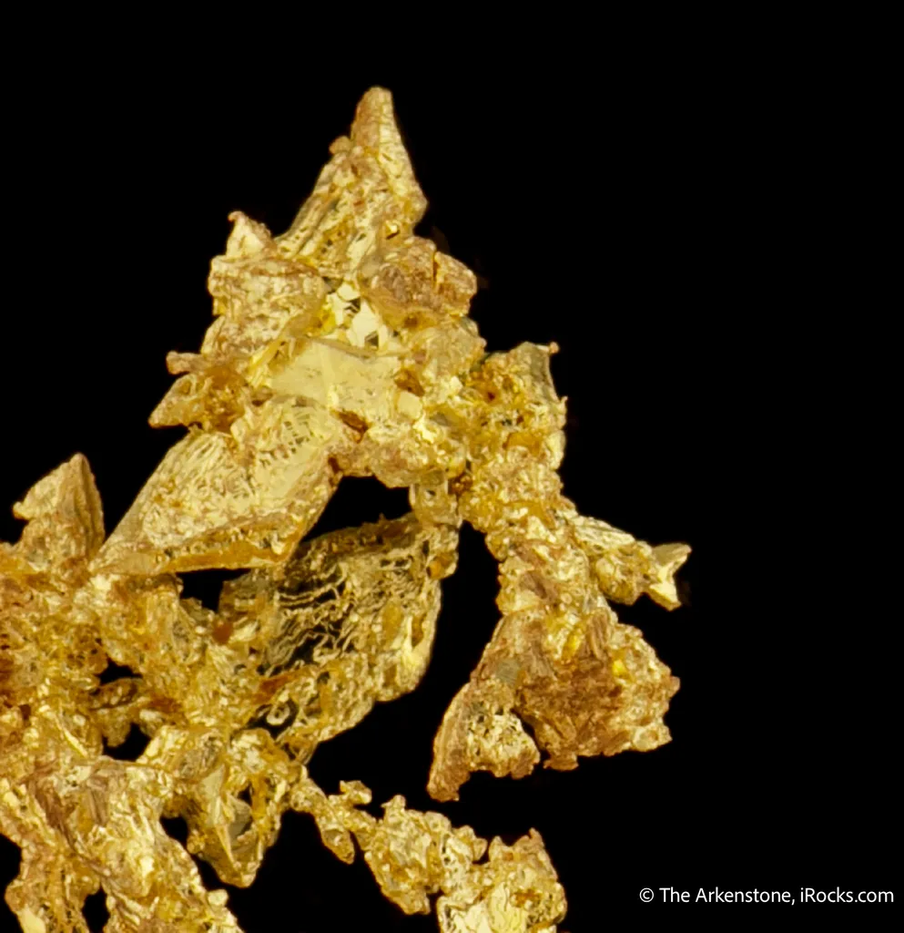 Gold - image 6