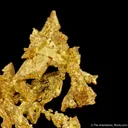 Gold - image 6