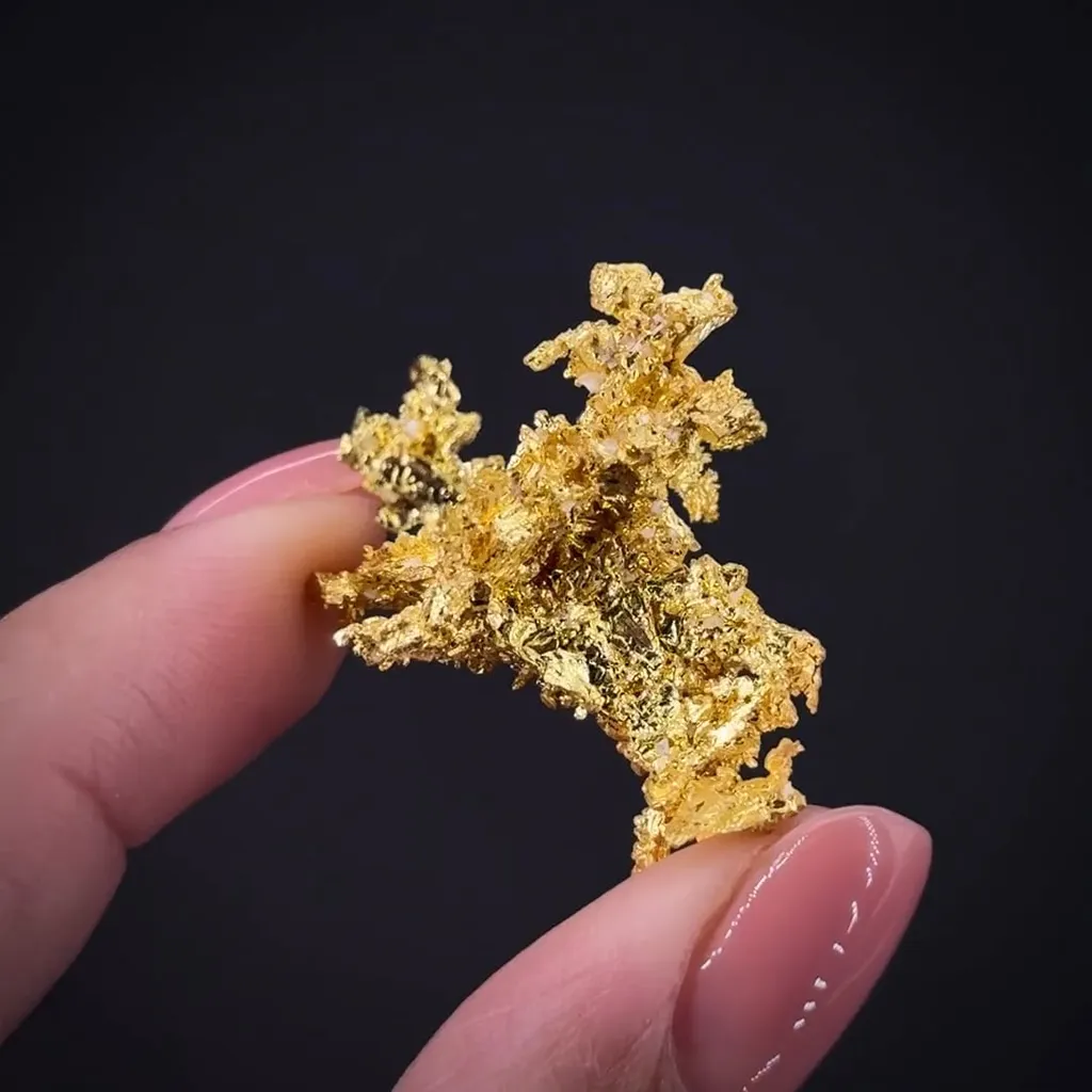 Gold - image 2