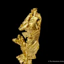 Gold - image 1