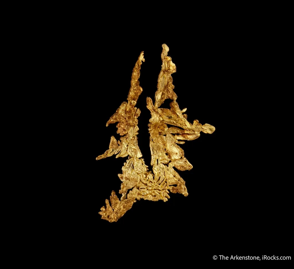 Gold - image 4