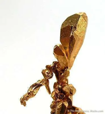Gold - image 2