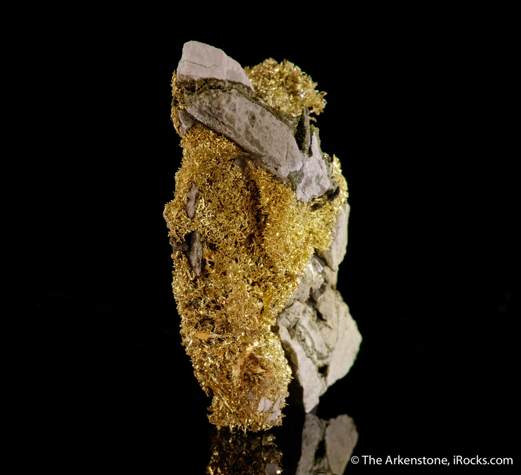 Gold - image 7