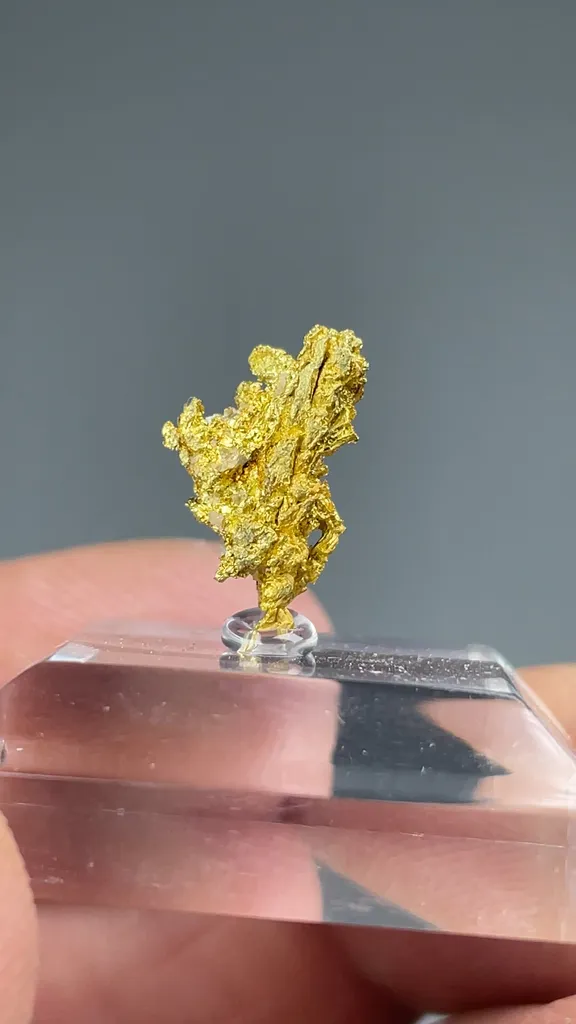 Gold - image 2