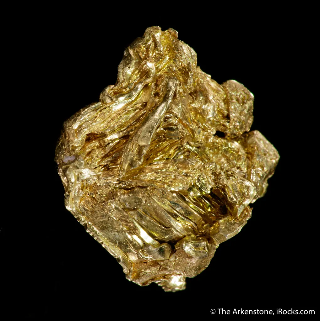 Gold - image 6