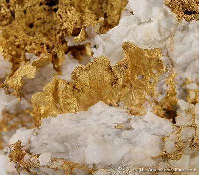 Gold - image 3