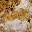 Gold - image 3