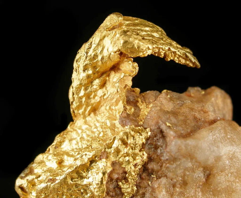 Gold - image 3