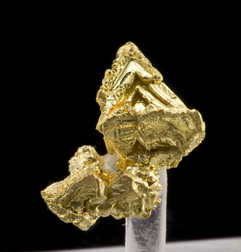 Gold - image 3