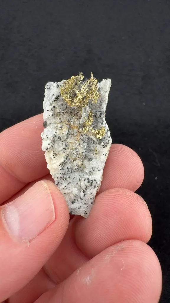 Gold - image 2