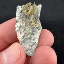 Gold - image 2