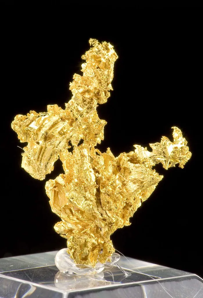 Gold - image 2