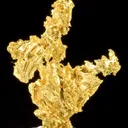 Gold - image 2