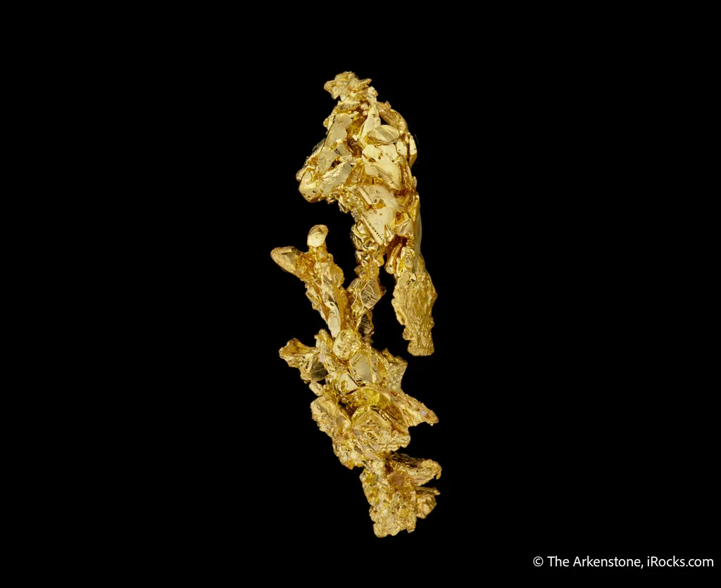 Gold - image 5