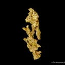 Gold - image 5