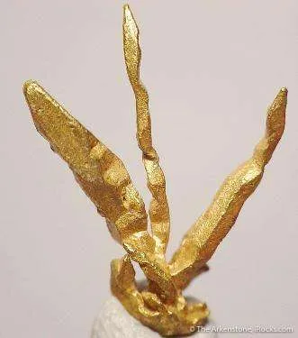 Gold image