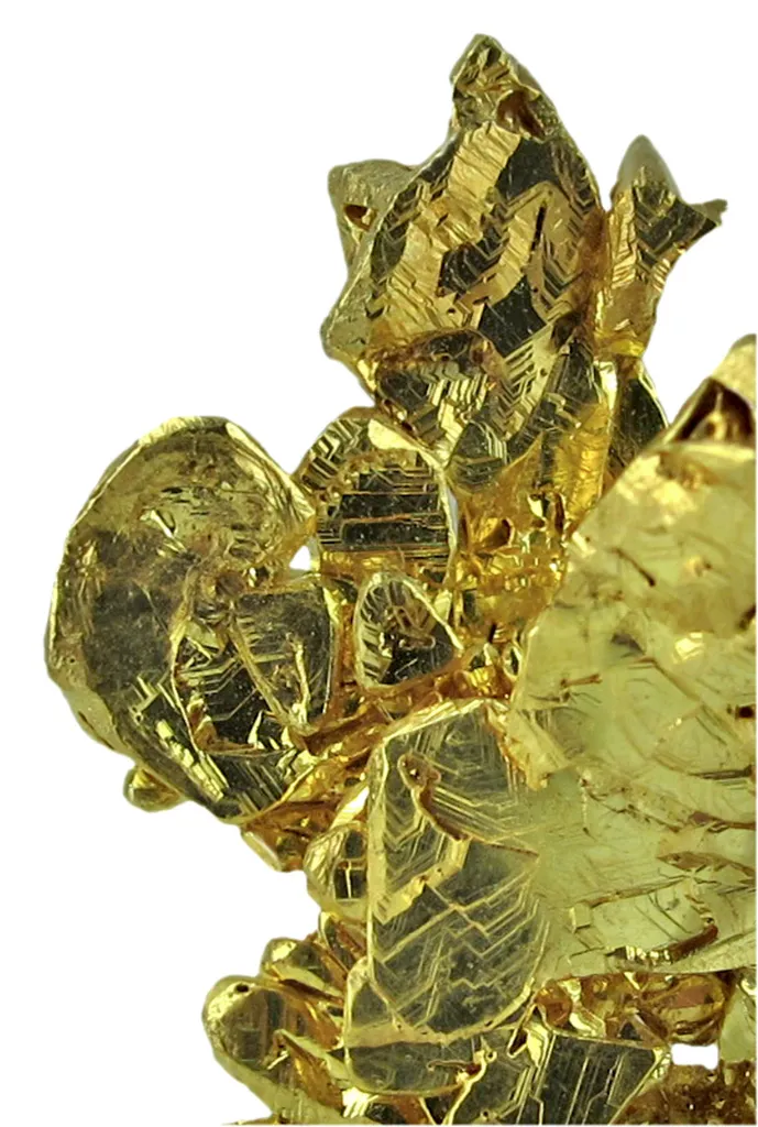 Gold - image 3