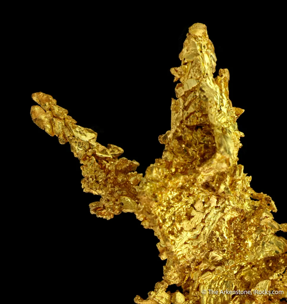 Gold - image 4